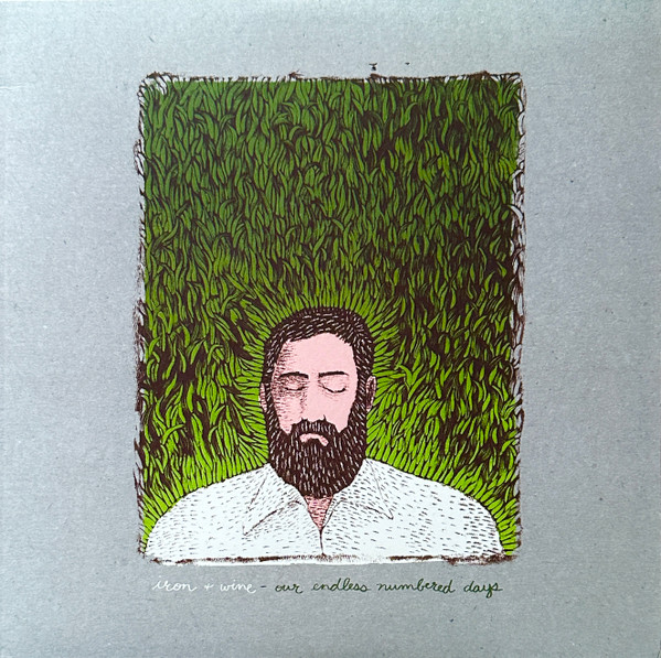 Iron And Wine - Our Endless Numbered Days