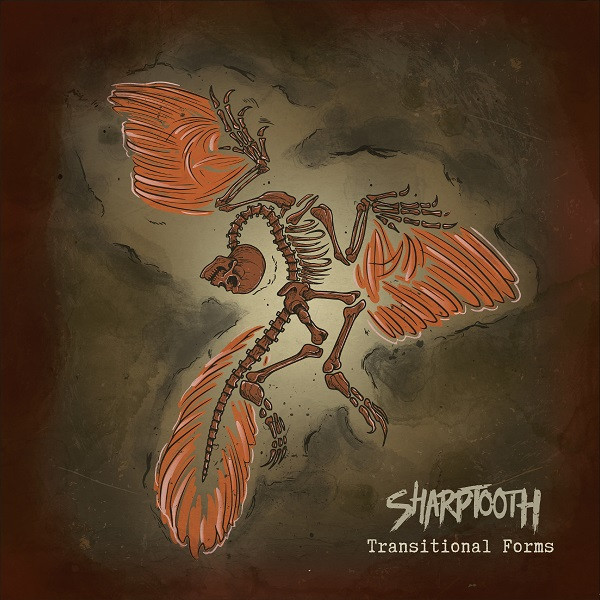 Sharptooth (3) - Transitional Forms