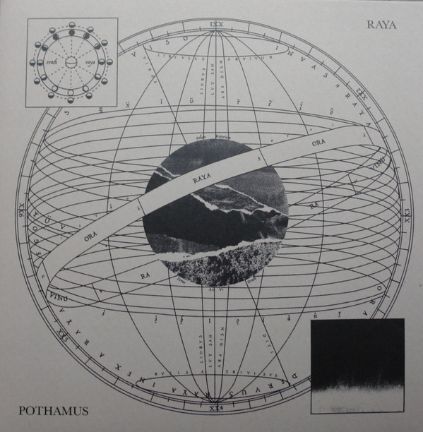 Pothamus - Raya