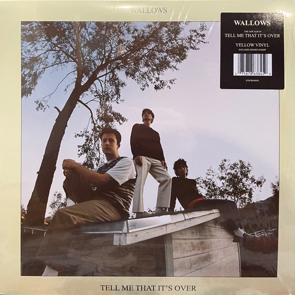 Wallows - Tell Me That It's Over