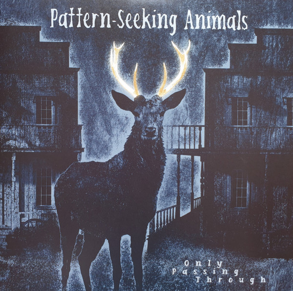 Pattern-Seeking Animals - Only Passing Through