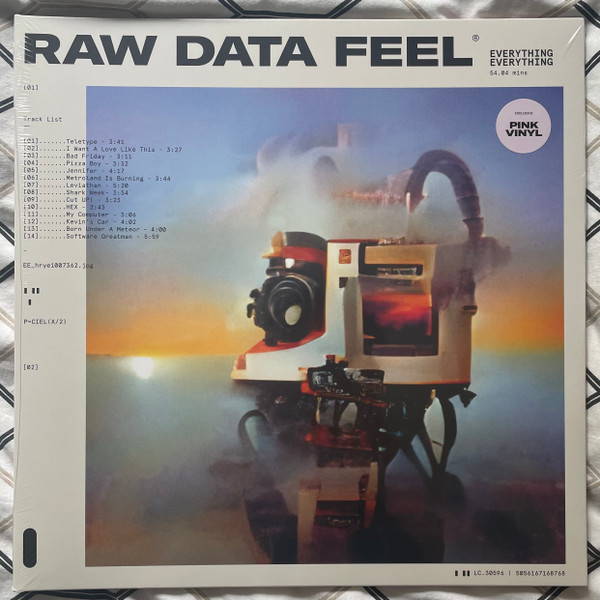 Everything Everything - Raw Data Feel