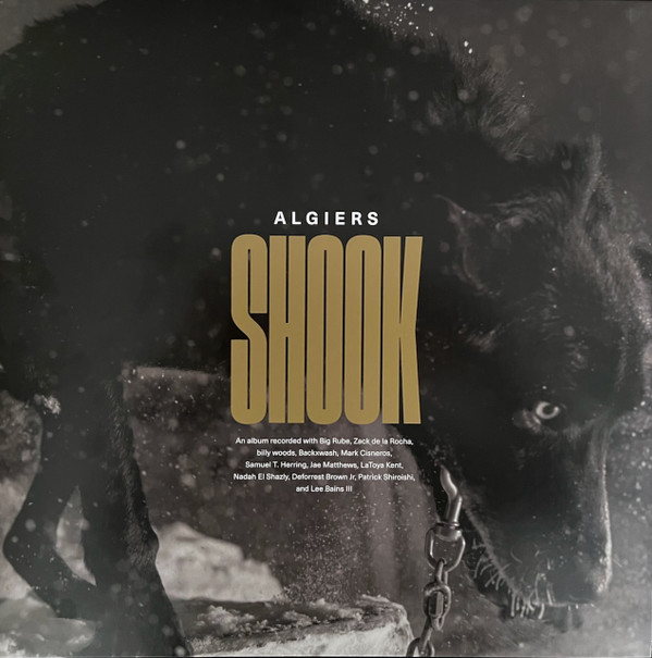 Algiers (2) - Shook