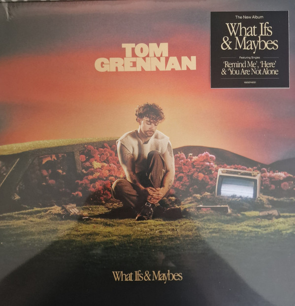 Tom Grennan - What Ifs & Maybes