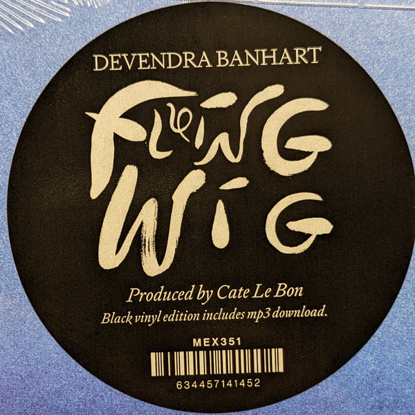 Devendra Banhart - Flying Wig