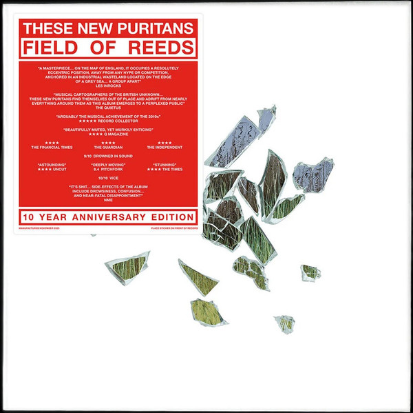 These New Puritans - Field Of Reeds