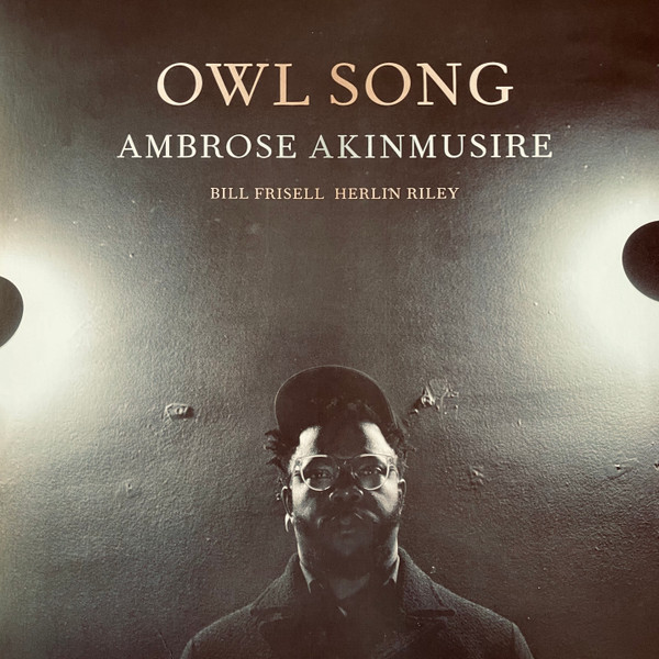 Ambrose Akinmusire - Owl Song